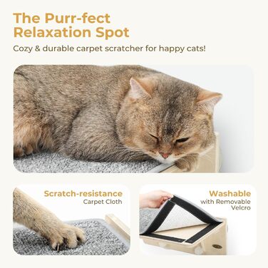 Pecute Котяча стінка 2-в-1 для стіни та скла, котяча полиця з миючим знімним фетровим покриттям, лежак на вікно з потужними присосками для котів і кошенят (S)