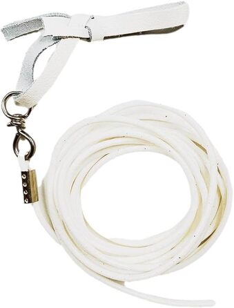 Вольтижерська батиска (longierriemen) JA Horse з нержавіючого металу, шкіряний батіг, силіконовий контактний жезл, 400 см, Made in Germany