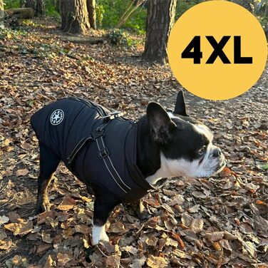 Водонепроникний зимовий одяг для собак Extreme 2.0 - теплий та зручний, з шлейкою та світловідбиваючими смугами (S)