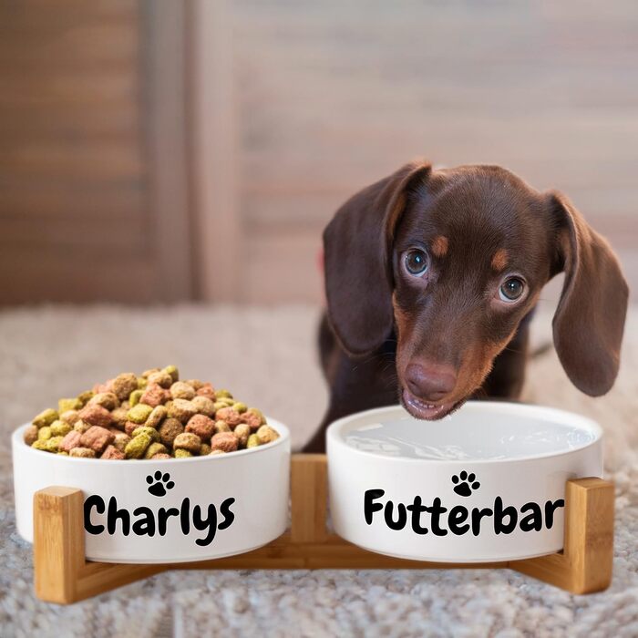 Керамічний двомісний набір мисок з іменем для собак та котів - персоналізований набір мисок з/без підставки | Миска для собак, миска для котів, годівниця для тварин | великі та маленькі чотирилапі | 2x 500мл, з підставкою