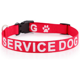 Нашийник для собак Plus Pet Service з великим написом на нейлоновій стрічці, запобігає нещасним випадкам, попереджає інших собак, 2 кольори, 4 розміри