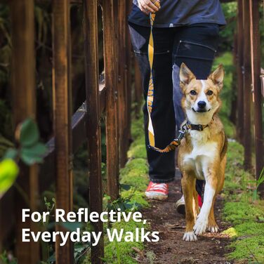 Нашийник для собак Ruffwear Crag, середній, 36-51 см, з алюмінієвим кільцем V, регульований, м'який, преміум-якість, для повідка