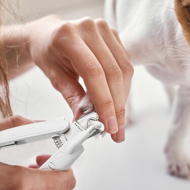 Набір для стрижки кігтів тварин з LED-підсвічуванням, прецизійний, для собак та котів