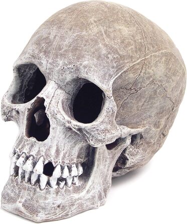 Декорація для акваріума Blue Ribbon Rosewood - Реалістичний череп людини, 15.2 x 20.3 x 15.2 см