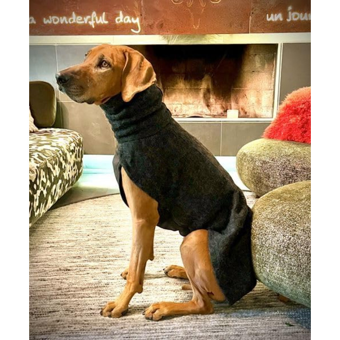 Теплий зимовий одяг для собак EDEL&SCHNELL: вовняна куртка з довгим коміром та світловідбиваючими елементами (55-60 см)