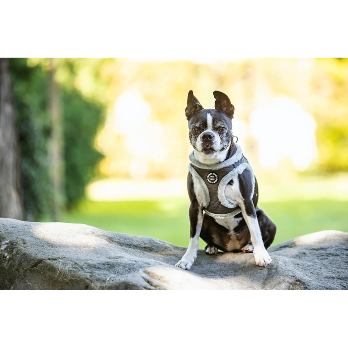 М'який нашийник для собак CHIARA MIA, розмір XL, сірий - водонепроникний, з безпечними світловідбиваючими смугами, регульований на липучці