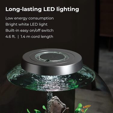 Декоративний акваріум biOrb CLASSIC 60 LED срібний, комплект з фільтром, LED-підсвіткою та керамічним гравієм, акрилове скло