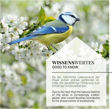 Годівниця для птахів Wildlife Home XL - велика, для підвішування, стійка до погодних умов, годівниця-пагода для саду та балкону