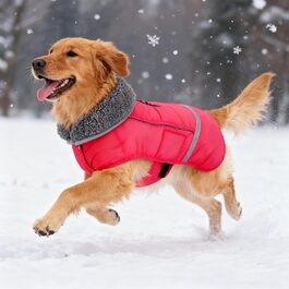 колір: сіро-зелений