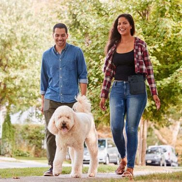 Сумка для собак Hanwell для ласощів та іграшок з дозатором для відходів, водонепроникна, сіра