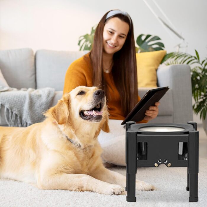 Підвищений годівниця для собак Felenny, 3 регульовані висоти, антипроливання, повільний диспенсер для води та корму, великі, середні та малі породи собак та котів