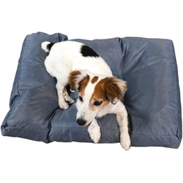 колір: сірий