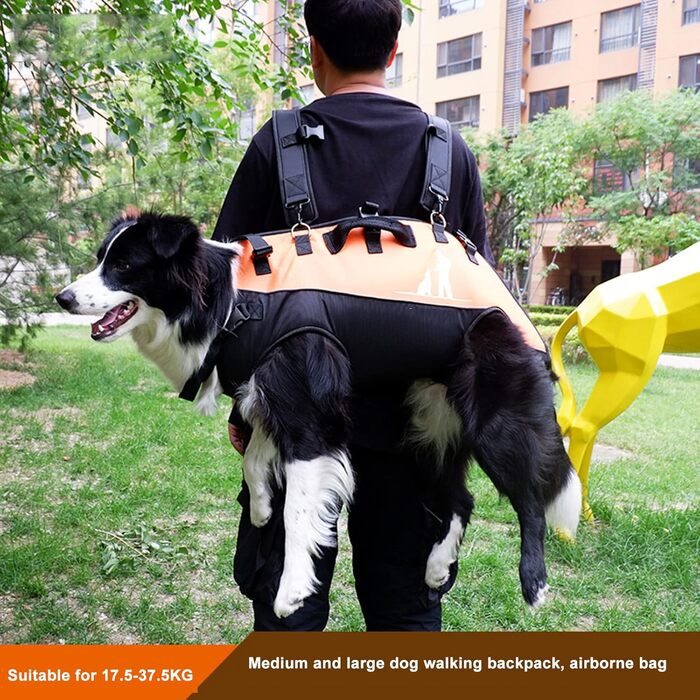 Рюкзак для собак L&Y Jewelry Hundetrage: переноска для собак вагою 15-40 кг, регульований, для собак з артритом та проблемами суглобів