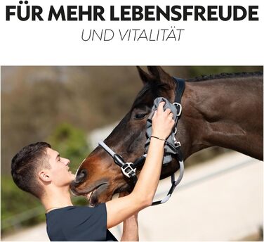 Охладна ковдра SUNRIDE для коней (Cool Down) 3-частинна - з накидкою на голову та тканиною - миттєвий охолоджуючий ефект завдяки випарній прохолоді - екологічна, проста у використанні - сіра (125 см)