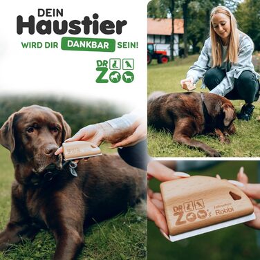 Дзеркальна щітка для собак DR Zoo 'Robbi' – ідеальна для грумінгу, видаляє підшерсток та короткий пух