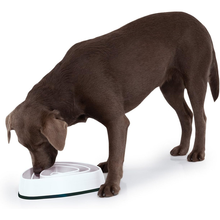 Миска для собак Slow Feeder, Anti-Schling, 700 мл, бежева - для собак середніх та великих порід