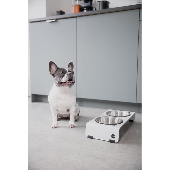 Підвищена годівниця для собак Jaska ARC з нержавіючої сталі та сталі (білий, S)
