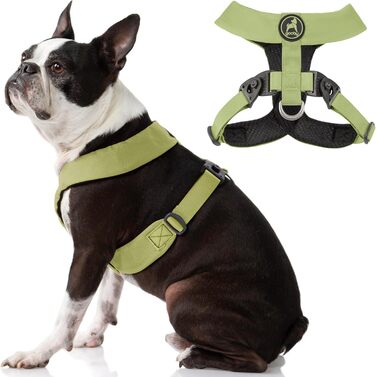 Шлея Gooby Comfort X Dual Snap для малих і середніх собак, зелена, без натягу, з анатомічною X-формою і запатентованою системою, для маленьких і середніх порід