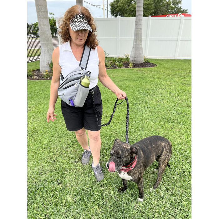 Сумка для тренування собак Paw Leckerli, сіра, стандартна (1 шт.)