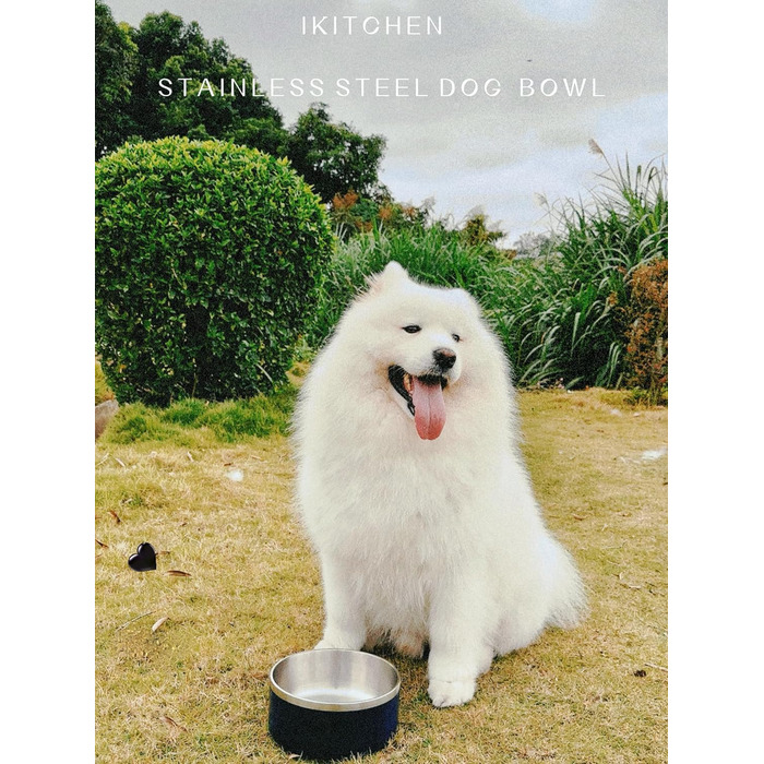 Миски для собак IKITCHEN з нержавіючої сталі, подвійні стінки, 1,8 л, чорні, для корму та води, з гумовим дном