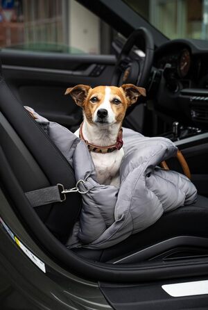 Сучасна переноска для собак Flying Dog Baily 3-в-1: сумка, автокрісло та переноска для маленьких собак до 10 кг (сіра)