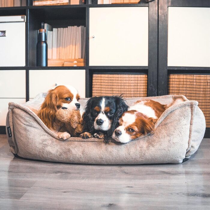Ортопедичне собаче ліжко 4L Textil IRIS Premium-LINE: зручне та комфортне місце для вашого улюбленця (80x60 см)
