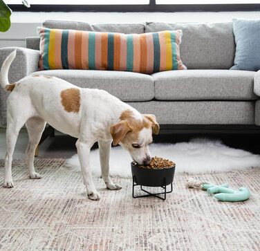 Підставка для годівлі собак Waggo з мискою, керамічна, піднята, маленька, матова біла