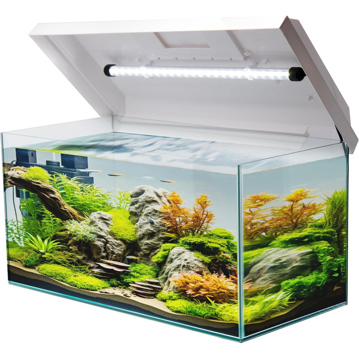 Акваріум прямокутний Juwel з LED кришкою, білий, 60x30x30 см, 54 л, скляний, для риб та водних рослин, ударостійкий