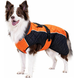 колір: помаранчевий/чорний