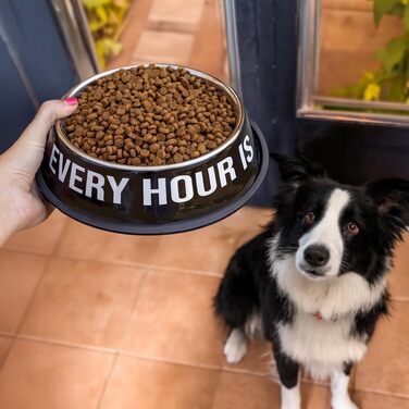 Миски для собак Fisura Dog Bar з нержавіючої сталі, рожеві та червоні, 500 мл + 1000 мл