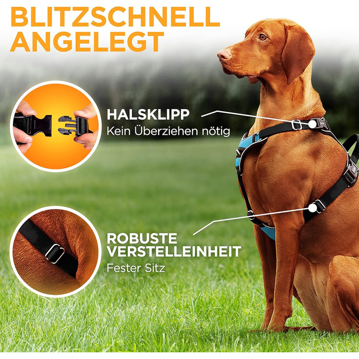 Шлейка для собак відбиваюча, з м'якою підкладкою, для собак маленьких та великих порід, синього кольору. Анти-тяга, регульована.