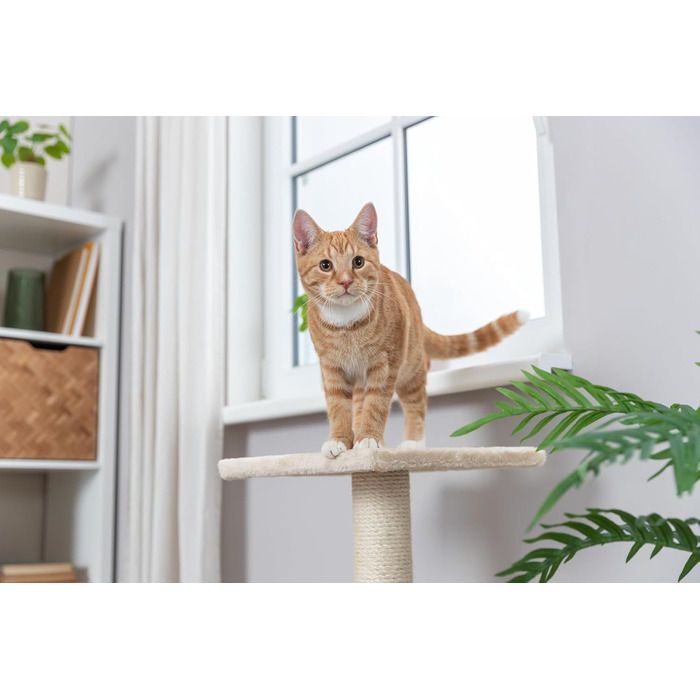 Дряпальня для котів TRIXIE Baena, 69 см, бежева - 43370