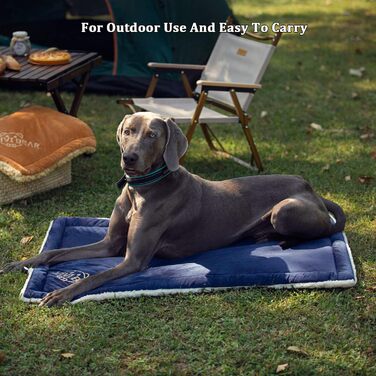 Килимок для собак Vivi Bear 110 x 70 см, килимок для тварин, машинного прання, для собак та котів, блакитний