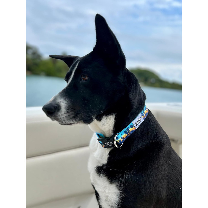 Shaka's Salty Paws нашийник для собак Sunset Palms, регульований, для великих порід, 45,7-66 см, 22,7-40,8 кг