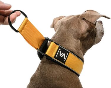 VITOMALIA® Легке відбиваюче нашийник для собак з гальмом, 4 см, міцний нейлон та м'який неопрен, для середніх собак