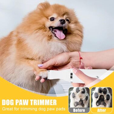 Набір для догляду за тваринами 4-в-1: машинка для стрижки собак та котів, триммер для лап, точилка для кігтів, машинка для стрижки шерсті | USB-C | для тіла, лап, очей, вух