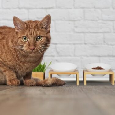 Набір мисок для котів Relaxdays з травою для котів, 2 керамічні миски по 350 мл, бамбуковий підставник, придатні для миття в посудомийній машині, натуральний/білий