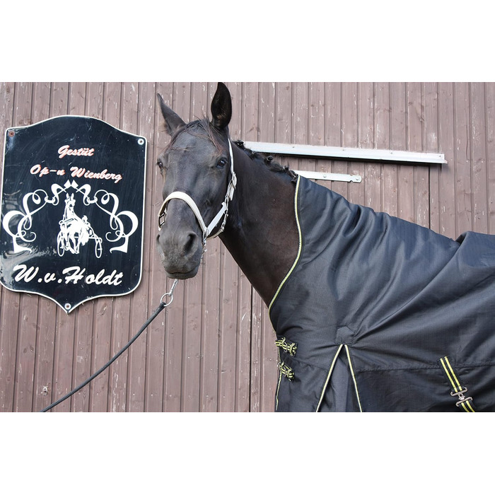 Зимова термоковдра для коня time4horses, високий комір, 200 г, 1200 ден, 125 см, водонепроникна аутдор ковдра