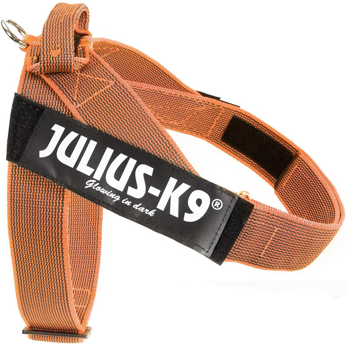Шлейка Julius-K9 Color & Gray для собак, нейлонова