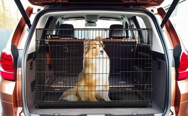 Металевий транспортний клітка-вольєр для собак Anytech, 121x74x82 см, розмір XXXXL