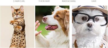 Електрична машинка для стрижки собак та котів - безшумна, акумуляторна, бездротова, для догляду за шерстю