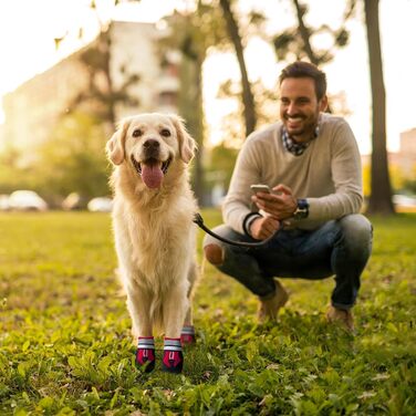Чоботи для собак Dricar, 4 шт. Водонепроникні, антиковзні, з регульованими ремінцями. Зимові чоботи для собак середніх та великих порід для прогулянок на вулиці та в приміщенні (червоні, XL)