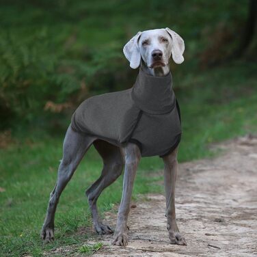 Теплий зимовий пуловер для собак Rozkitch з отвором для повідка, чорний, розмір Small. Захист від вітру, комфортний, для прогулянок, подорожей та відпочинку.