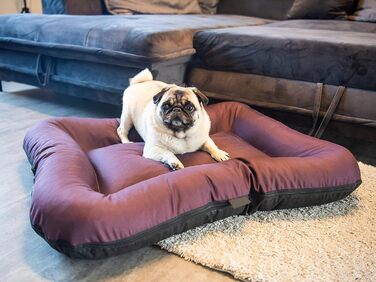 Ліжко для собак середніх порід 4L Textil KLEO, 90x70 см, бежеве, з блискавкою. Ліжко-матрац для собак, вовнове, знімний чохол, легко миється.