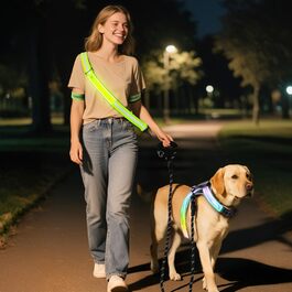 Світловідбиваюче обід для собак з LED-підсвічуванням, регульований, 1,5м, для нічних прогулянок