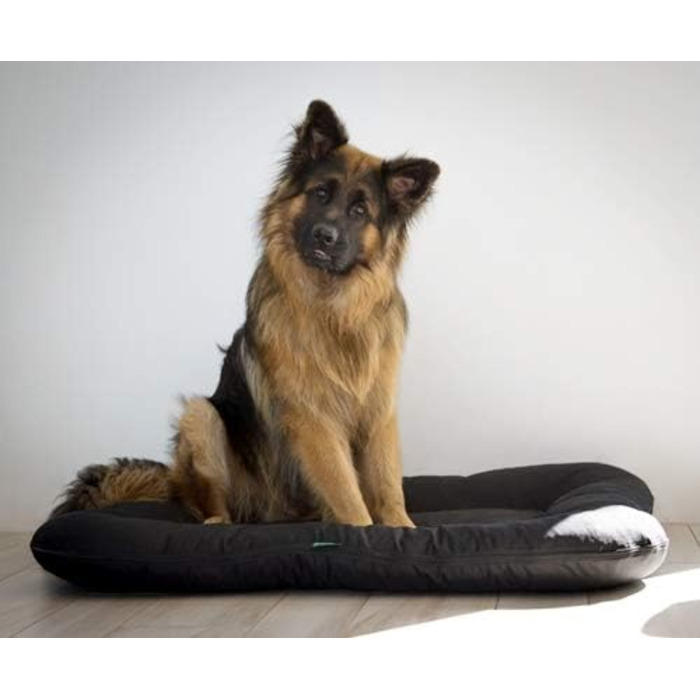 Ліжко для собак середніх порід 4L Textil KLEO, 90x70 см, бежеве, з блискавкою. Ліжко-матрац для собак, вовнове, знімний чохол, легко миється.