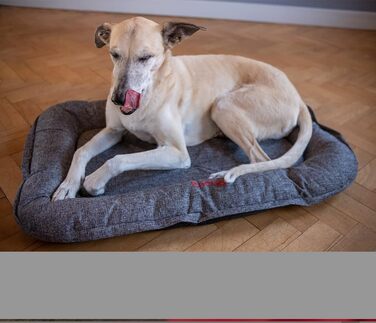 iEnergy GIS - Лежанка для собак Outdoor, ідеальна для відпочинку на природі, в подорожах та в авто