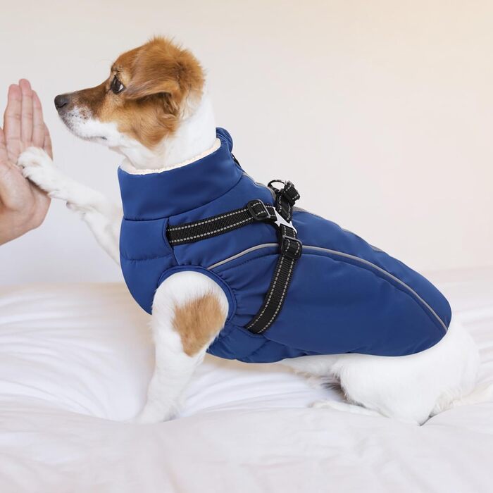 Теплий зимовий одяг для собак з блискавкою, вітронепроникний, з відбиваючими смугами та нагрудником, блакитний, XL