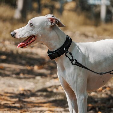 Нашийник для собак OneTigris, тактичний, з ручкою, чорний, S (30-40 см)