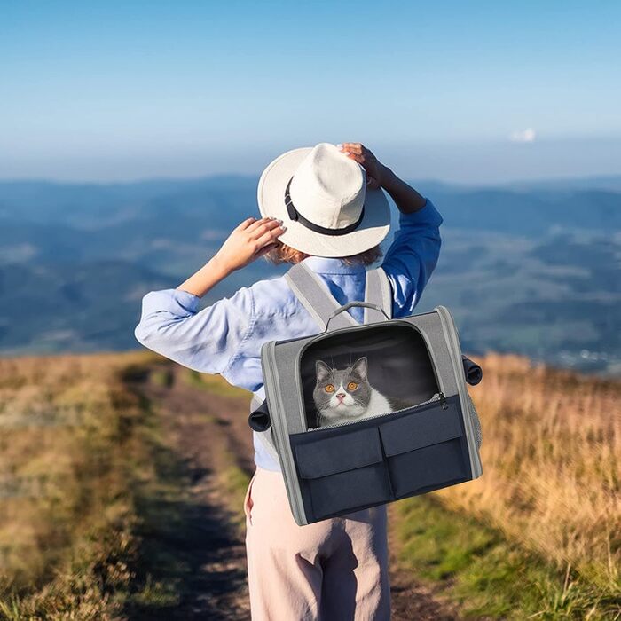 Рюкзак для тварин PETCUTE: переноска для собак та котів, з виймальною підстилкою та ременем безпеки, зелений (блакитний)
